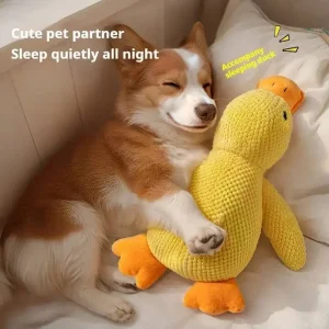 Squeaky Plush Duck Dog Toy - Thumbnail Image 4